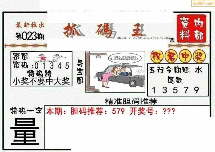 抓码王每期自动更新图图片